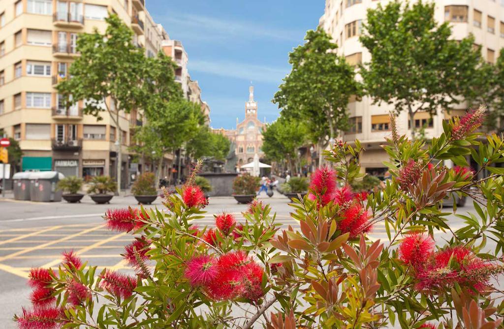 Letsgo Sagrada Familia Penthouse Apartment Barcelona Phòng bức ảnh